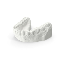 Lower Dentures Mold Clay PNG & PSD Images