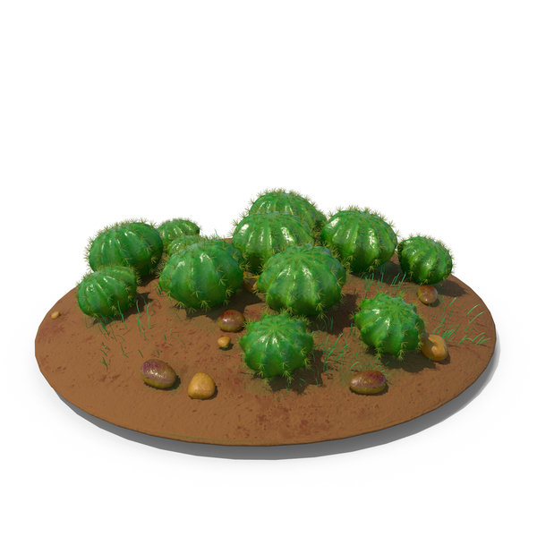 Cactus Barrel Ground Multi PNG & PSD Images