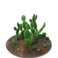 Cactus Angle Wing PNG & PSD Images