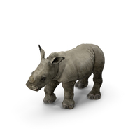 Rhino Baby Standing Pose Fur PNG & PSD Images