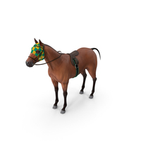 Bay Racehorse PNG & PSD Images
