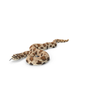Brown Hognose Snake Coiled Pose PNG & PSD Images