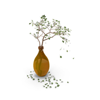Pear Branchlet PNG & PSD Images