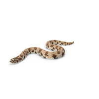 Crawling Brown Hognose Snake PNG & PSD Images