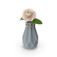 Diamond Shape Vase with Camelia Flower PNG & PSD Images