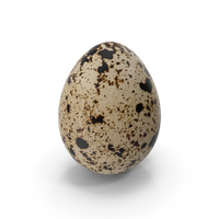 Fresh Quail Egg PNG & PSD Images