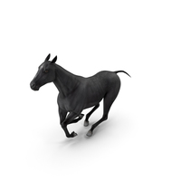 Gallop Black Horse PNG & PSD Images