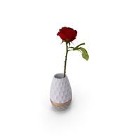Hexagon Vase with Rose PNG & PSD Images