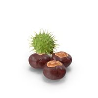 Horse Chestnut Set PNG & PSD Images