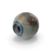 Human Eye PNG & PSD Images