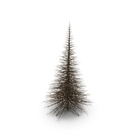 Light Tree PNG & PSD Images