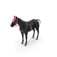 Racehorse Black PNG & PSD Images