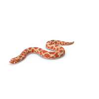 Red Hognose Snake Crawling Pose PNG & PSD Images