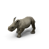 Rhino Baby Walking Pose PNG & PSD Images