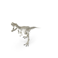 Tyrannosaurus Rex Skeleton Standing Pose PNG & PSD Images