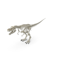 Tyrannosaurus Rex Skeleton PNG & PSD Images