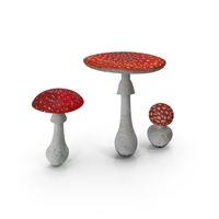 Fly Agaric PNG & PSD Images