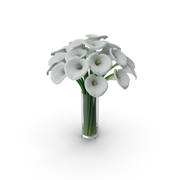 Calla Lilies PNG & PSD Images