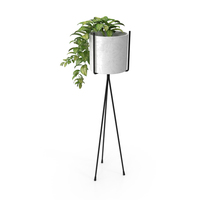 Potted Plant PNG & PSD Images