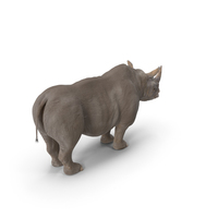 Rhinoceros PNG & PSD Images
