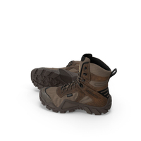 Irish Setter Boots PNG & PSD Images