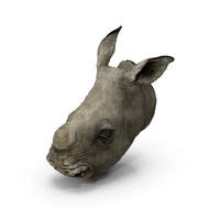 Baby Rhino Head PNG & PSD Images
