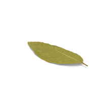 Dried Bay Laurel Leaf PNG & PSD Images