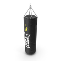 Everlast Heavy Bag PNG & PSD Images