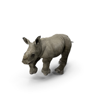 Rhino Baby Running Pose fur Png＆PSD图像