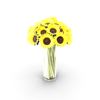 Sunflowers Bouquet PNG & PSD Images