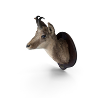 Taxidermy Chamois Head PNG & PSD Images