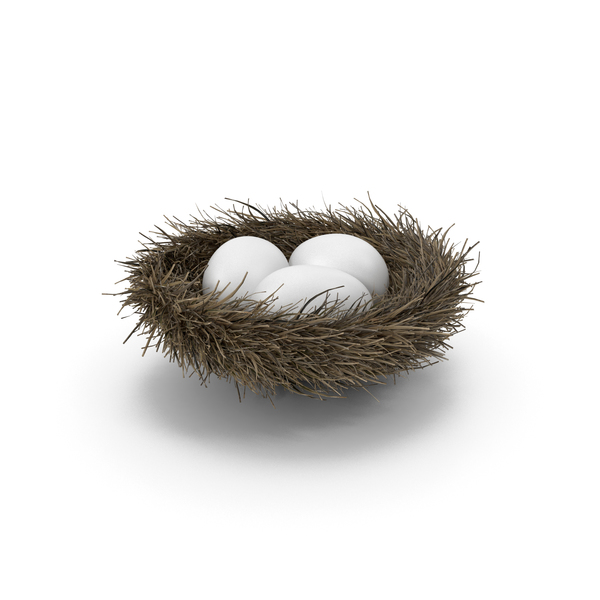 Nest with 3 White Eggs PNG & PSD Images