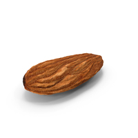 Dry Almond PNG & PSD Images