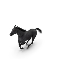 Gallop Pose Horse Fur PNG & PSD Images