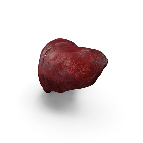 Human Liver PNG & PSD Images