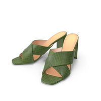 Women's Shoes Mules Green Crocodile Leather PNG & PSD Images