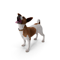 Jack Russell Terrier Spotted Waiting Pose PNG & PSD Images