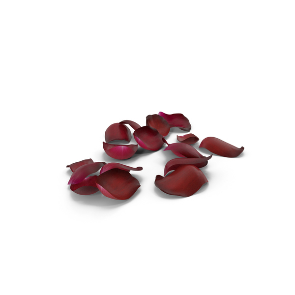 Flower Petals PNG & PSD Images