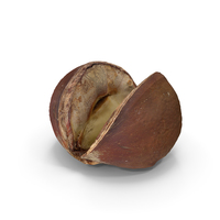 Cooked Chestnut PNG & PSD Images