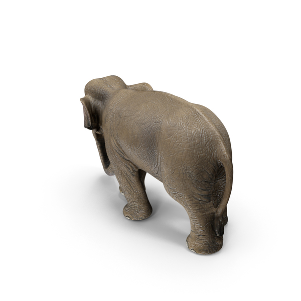 Elephant PNG & PSD Images
