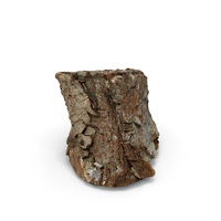 Old Wood Log PNG & PSD Images