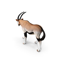 Oryx PNG & PSD Images