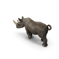 Rhino PNG & PSD Images