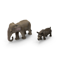 Rhino & Elephant PNG & PSD Images