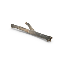 Stick PNG & PSD Images