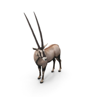 Oryx PNG & PSD Images