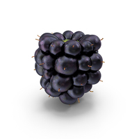 Blackberry Fruit PNG & PSD Images