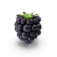 Blackberry PNG & PSD Images