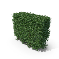 Bushes PNG & PSD Images