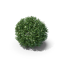Round Bushes PNG & PSD Images